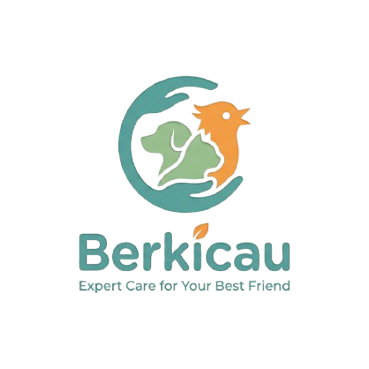 ber kicau